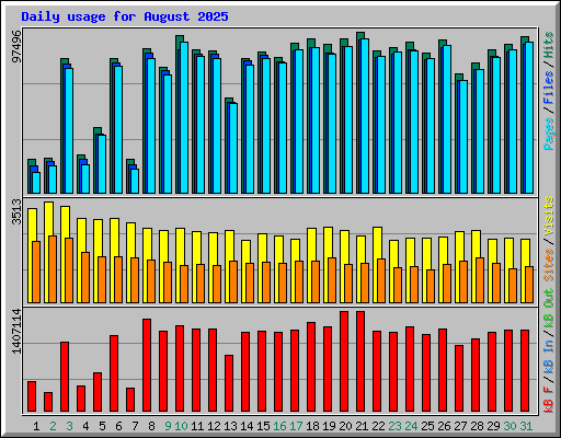 Daily usage for August 2025