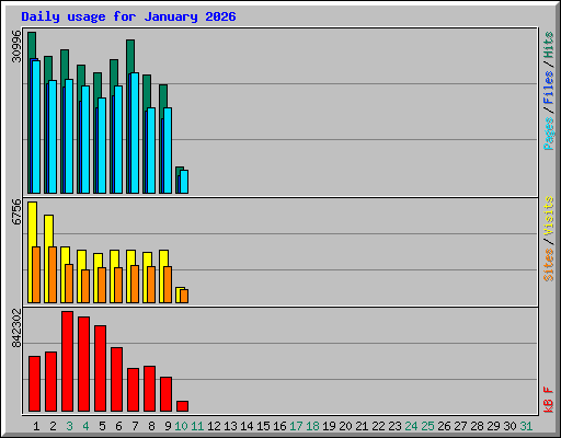 Daily usage for January 2026