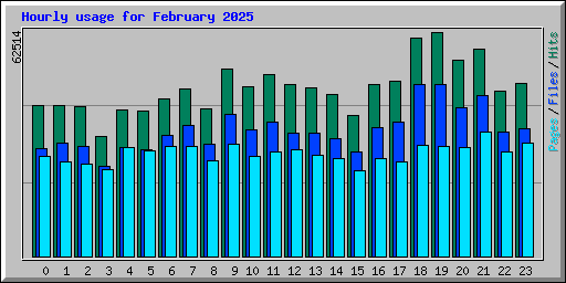 Hourly usage for February 2025