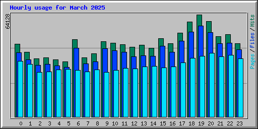 Hourly usage for March 2025