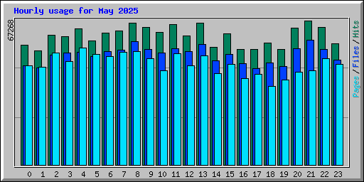 Hourly usage for May 2025