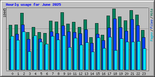 Hourly usage for June 2025