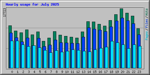 Hourly usage for July 2025