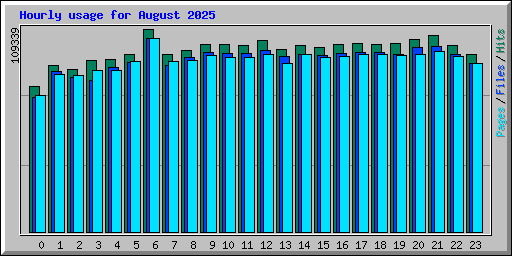 Hourly usage for August 2025