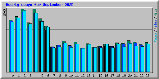 Hourly usage for September 2025