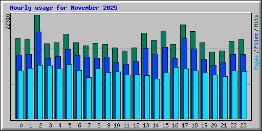 Hourly usage for November 2025