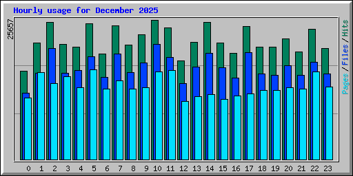 Hourly usage for December 2025