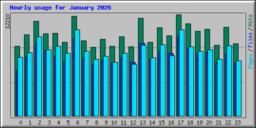Hourly usage for January 2026