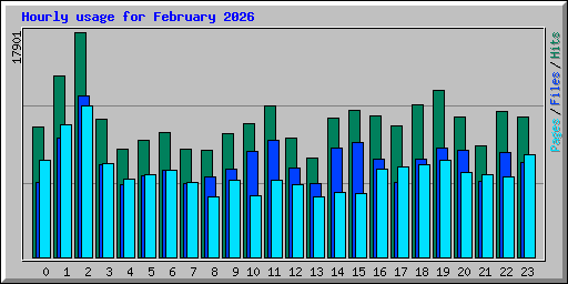 Hourly usage for February 2026