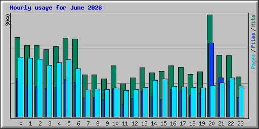 Hourly usage for June 2026