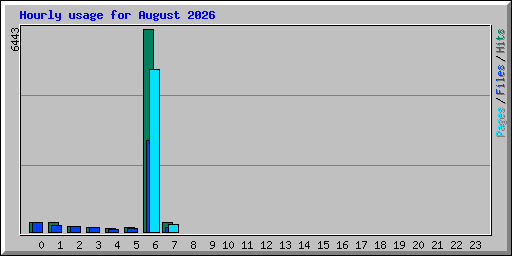 Hourly usage for August 2026