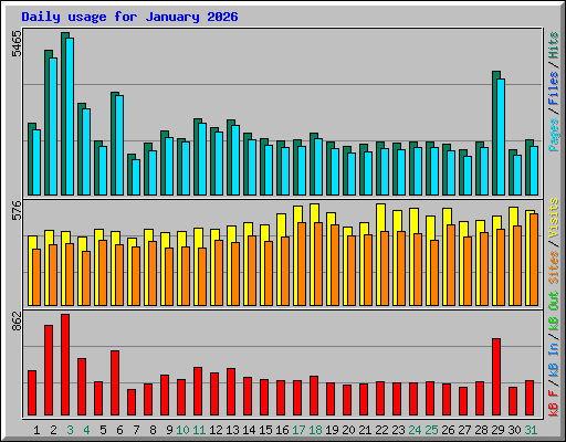Daily usage for January 2026