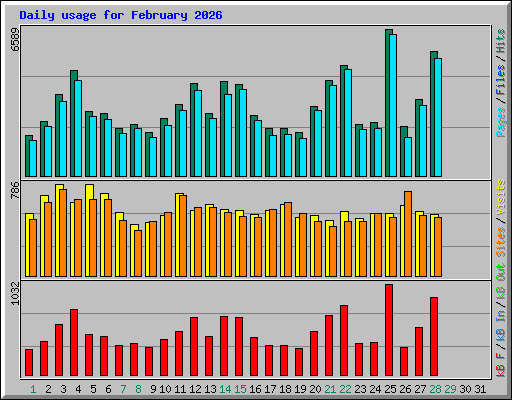 Daily usage for February 2026