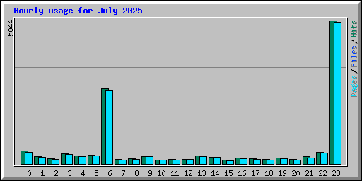 Hourly usage for July 2025