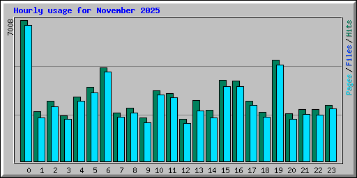 Hourly usage for November 2025