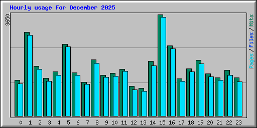 Hourly usage for December 2025