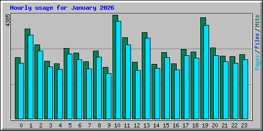 Hourly usage for January 2026