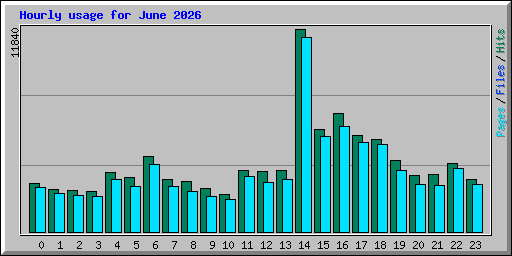 Hourly usage for June 2026