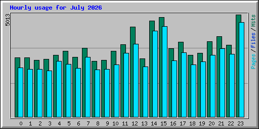 Hourly usage for July 2026